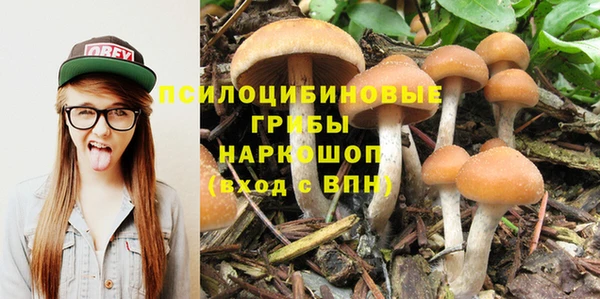 кокаин Приозерск