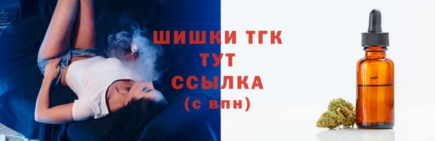 гидропоника Алзамай