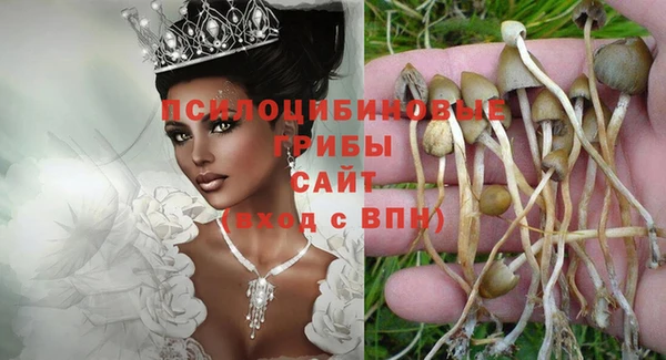 амф Алексин