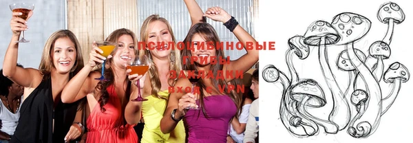 дмт Абинск