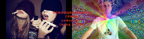 трава Абаза