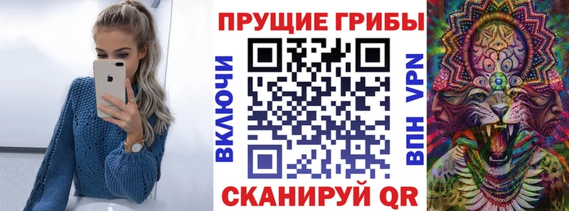Галлюциногенные грибы Psilocybine cubensis Добрянка