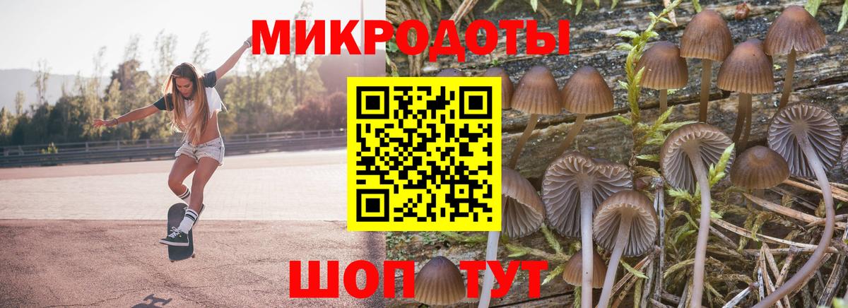 Галлюциногенные грибы Psilocybe  Вход с VPN  где купить   Добрянка 
